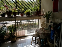 Blk 553 Ang Mo Kio Avenue 10 (Ang Mo Kio), HDB 5 Rooms #207443021